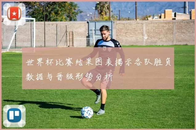 世界杯比赛结果图表揭示各队胜负数据与晋级形势分析